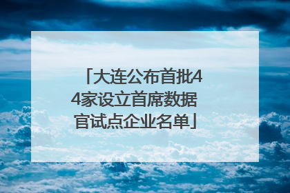 大连公布首批44家设立首席数据官试点企业名单
