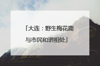 大连：野生梅花鹿与市民和谐相处