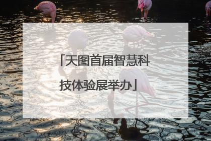 天图首届智慧科技体验展举办