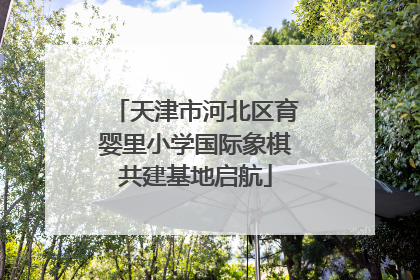 天津市河北区育婴里小学国际象棋共建基地启航