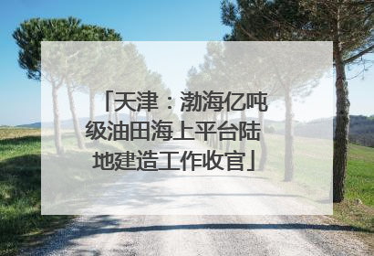 天津：渤海亿吨级油田海上平台陆地建造工作收官