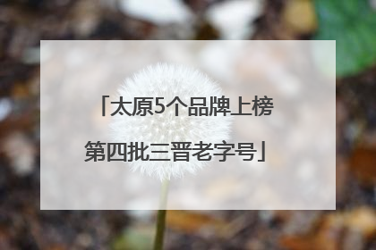 太原5个品牌上榜第四批三晋老字号