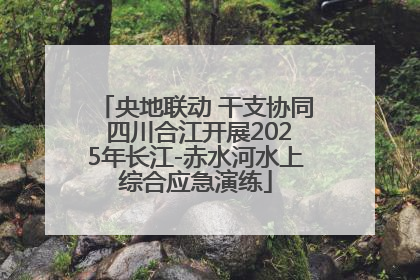 央地联动 干支协同 四川合江开展2025年长江-赤水河水上综合应急演练