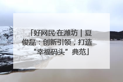 好网民·在潍坊｜夏俊磊：创新引领，打造“幸福码头”典范