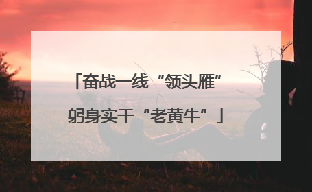 奋战一线“领头雁” 躬身实干“老黄牛”