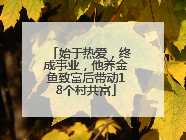 始于热爱，终成事业，他养金鱼致富后带动18个村共富