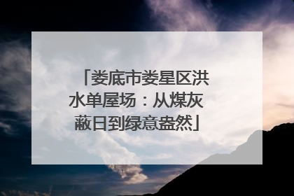 娄底市娄星区洪水单屋场：从煤灰蔽日到绿意盎然