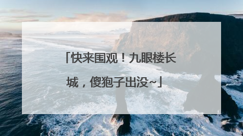 快来围观！九眼楼长城，傻狍子出没~