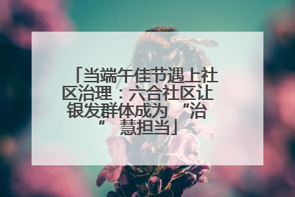 当端午佳节遇上社区治理：六合社区让银发群体成为 “治” 慧担当