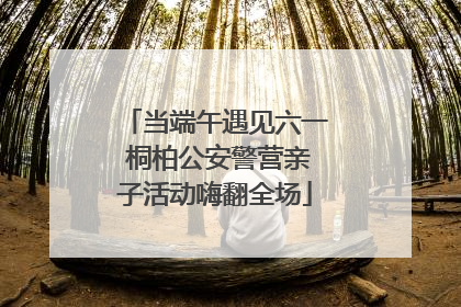 当端午遇见六一 桐柏公安警营亲子活动嗨翻全场