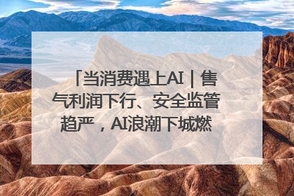 当消费遇上AI｜售气利润下行、安全监管趋严，AI浪潮下城燃企业如何破局
