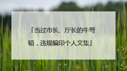 当过市长、厅长的牛弩韬，违规编印个人文集