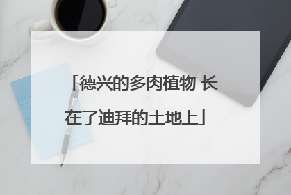 德兴的多肉植物 长在了迪拜的土地上