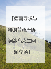 德国寻求与特朗普政府协调涉乌克兰问题立场