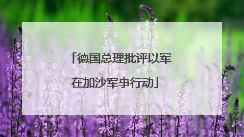 德国总理批评以军在加沙军事行动