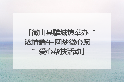 微山县驩城镇举办“浓情端午·圆梦微心愿”爱心帮扶活动