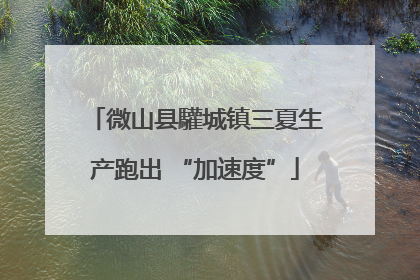 微山县驩城镇三夏生产跑出 “加速度”
