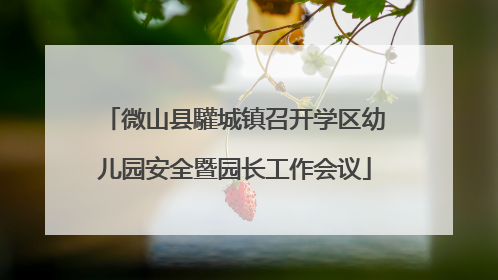 微山县驩城镇召开学区幼儿园安全暨园长工作会议