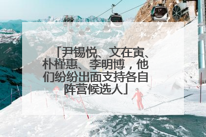 尹锡悦、文在寅、朴槿惠、李明博，他们纷纷出面支持各自阵营候选人