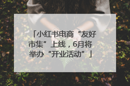 小红书电商“友好市集”上线，6月将举办“开业活动”