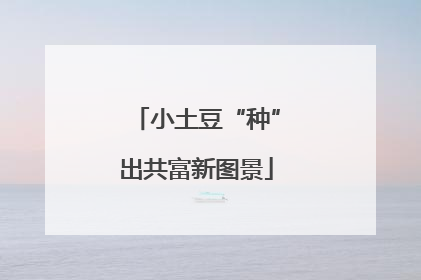 小土豆“种”出共富新图景