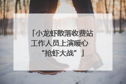 小龙虾散落收费站 工作人员上演暖心“抢虾大战”