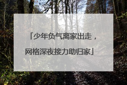 少年负气离家出走，网格深夜接力助归家