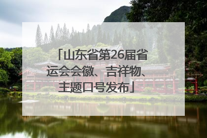 山东省第26届省运会会徽、吉祥物、主题口号发布