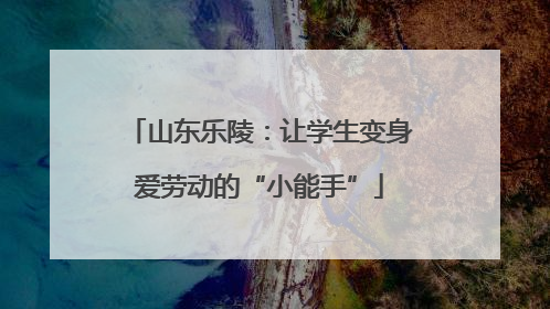 山东乐陵：让学生变身爱劳动的“小能手”