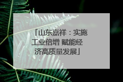 山东嘉祥：实施工业倍增 赋能经济高质量发展