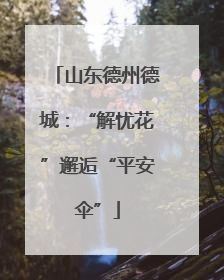 山东德州德城：“解忧花”邂逅“平安伞”