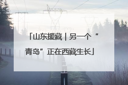 山东援藏｜另一个“青岛”正在西藏生长