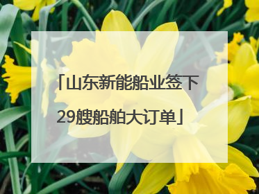 山东新能船业签下29艘船舶大订单