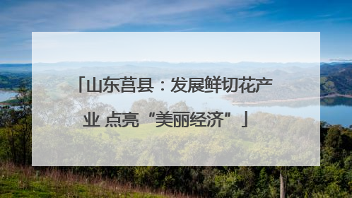 山东莒县：发展鲜切花产业 点亮“美丽经济”