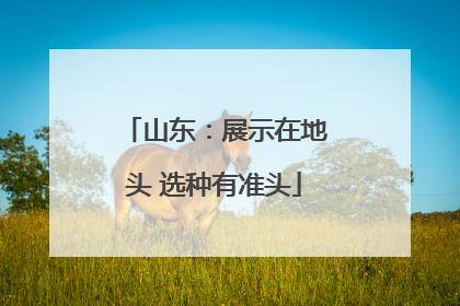山东：展示在地头 选种有准头