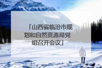 山西省临汾市规划和自然资源局党组召开会议
