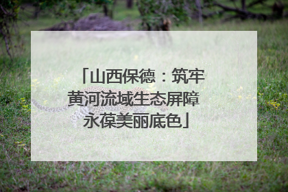 山西保德：筑牢黄河流域生态屏障 永葆美丽底色