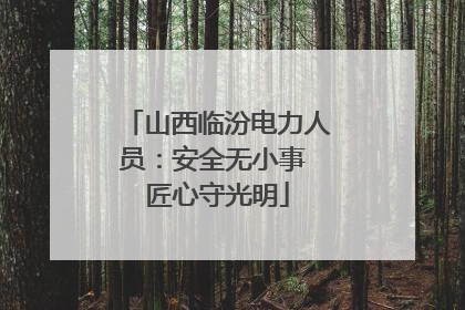 山西临汾电力人员：安全无小事 匠心守光明
