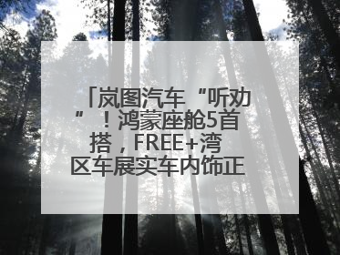 岚图汽车“听劝”！鸿蒙座舱5首搭，FREE+湾区车展实车内饰正式曝光