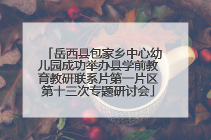 岳西县包家乡中心幼儿园成功举办县学前教育教研联系片第一片区第十三次专题研讨会
