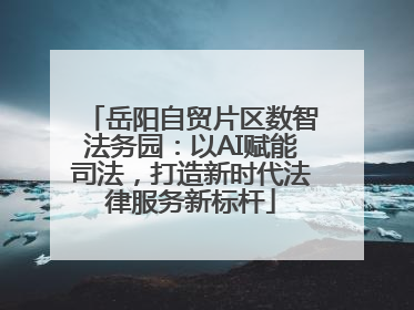 岳阳自贸片区数智法务园：以AI赋能司法，打造新时代法律服务新标杆