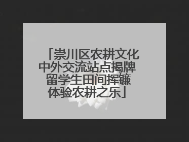 崇川区农耕文化中外交流站点揭牌 留学生田间挥镰体验农耕之乐