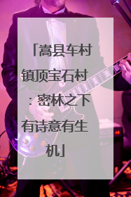 嵩县车村镇顶宝石村：密林之下有诗意有生机