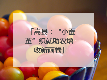 嵩县：“小蚕茧”织就助农增收新画卷