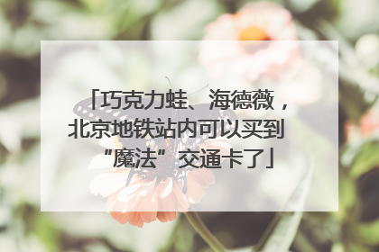 巧克力蛙、海德薇，北京地铁站内可以买到“魔法”交通卡了