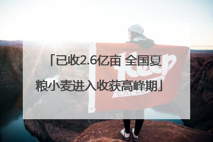 已收2.6亿亩 全国夏粮小麦进入收获高峰期