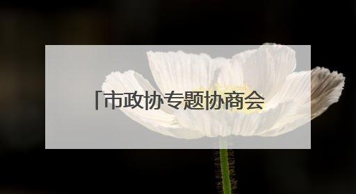 市政协专题协商会暨重点提案督办会议召开 黄喜忠讲话