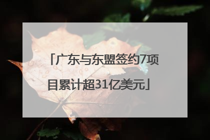 广东与东盟签约7项目累计超31亿美元