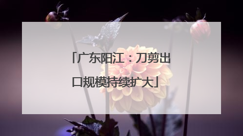 广东阳江：刀剪出口规模持续扩大
