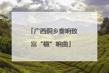 广西侗乡奏响致富“椒”响曲